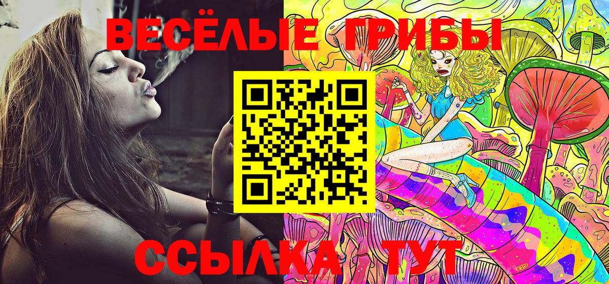Псилоцибиновые грибы прущие грибы  Вход с VPN  Стрежевой 