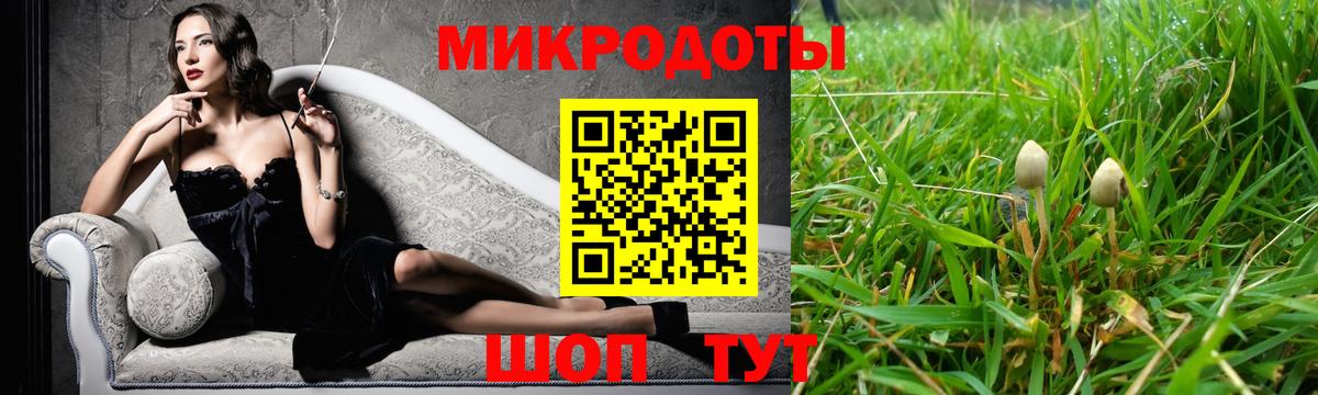 Псилоцибиновые грибы Psilocybe Стрежевой
